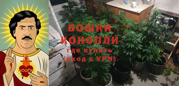 не бодяженный Арсеньев